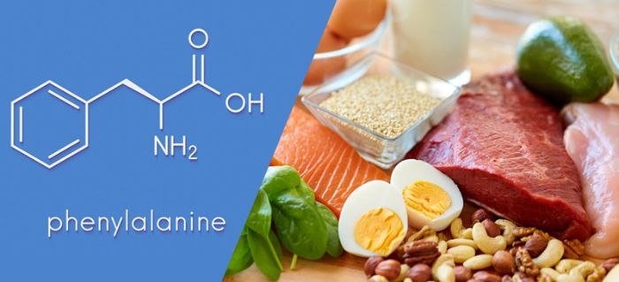 Phenylalanine là một axit amin đóng vai trò như một khối xây dựng của protein trong cơ thể con người